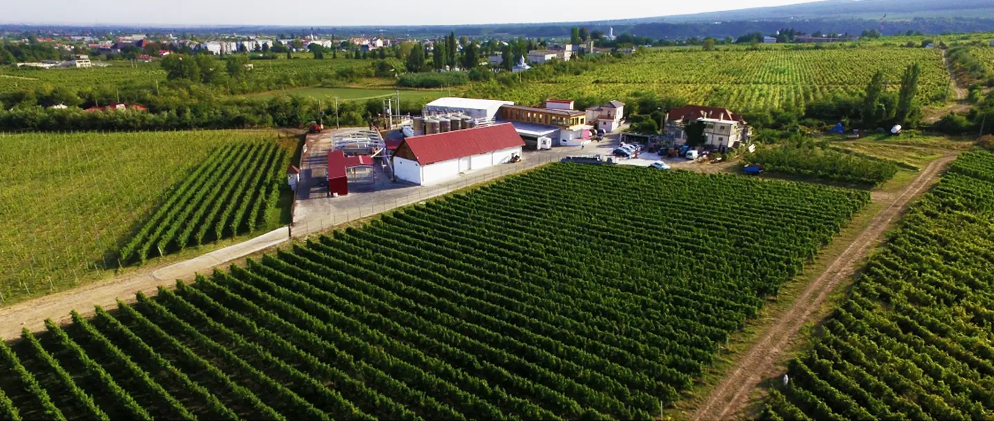 Wines of Romania - Wine Tourism -Tenuta Odobesti Winery